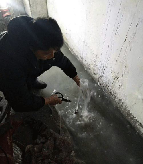 亳州利辛县防水堵漏